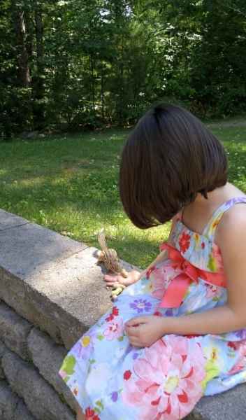 Chipmunk Eating From Little Girl