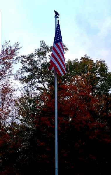 American Flag with Fall Foliage from Lisa Hoffman