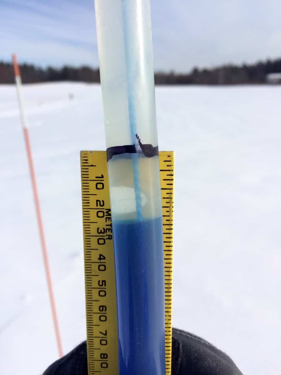 Measuring frost depth with frost tubes at Kingman Farm. Clear areas below the black line indicate depth of frost below the soil surface. Credit: Elizabeth Burakowski/UNH